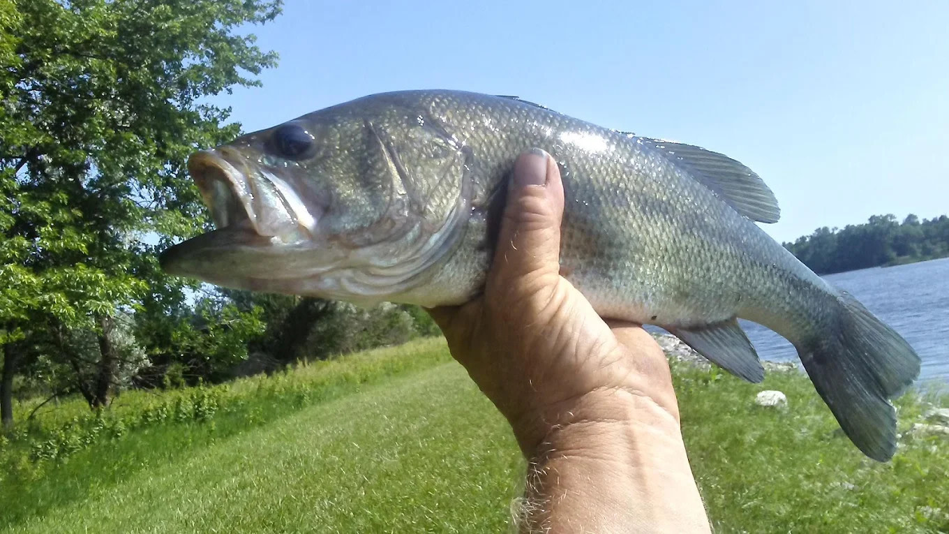Maskenthine Recreation Area