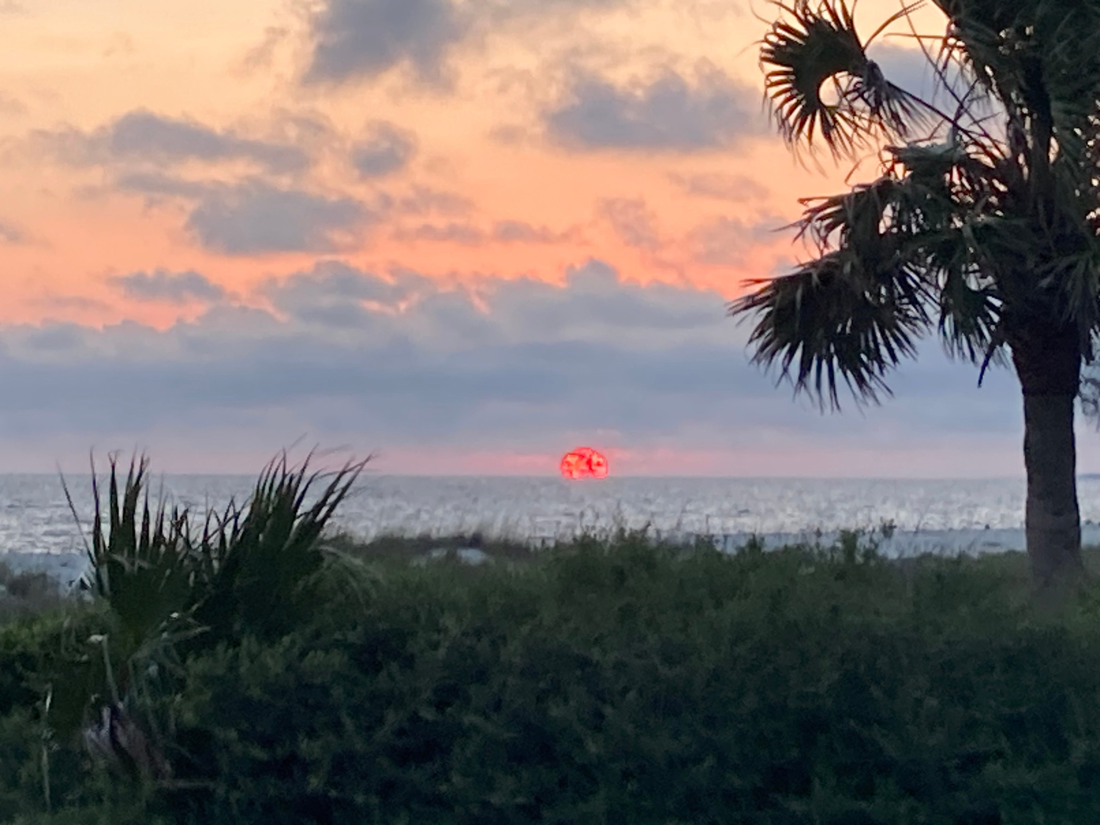 Panhandle Paradise
