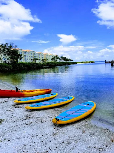 Causeway Cove Marina