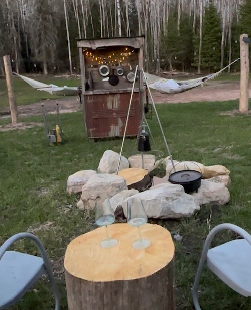 Northern Lights & Firefly Nights