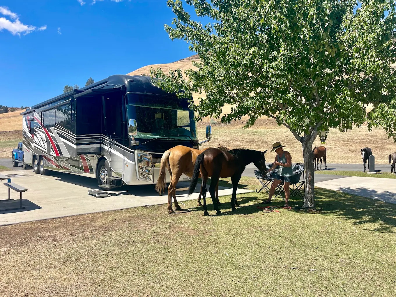 Klamath Ranch Resort - Blue Heron RV Park