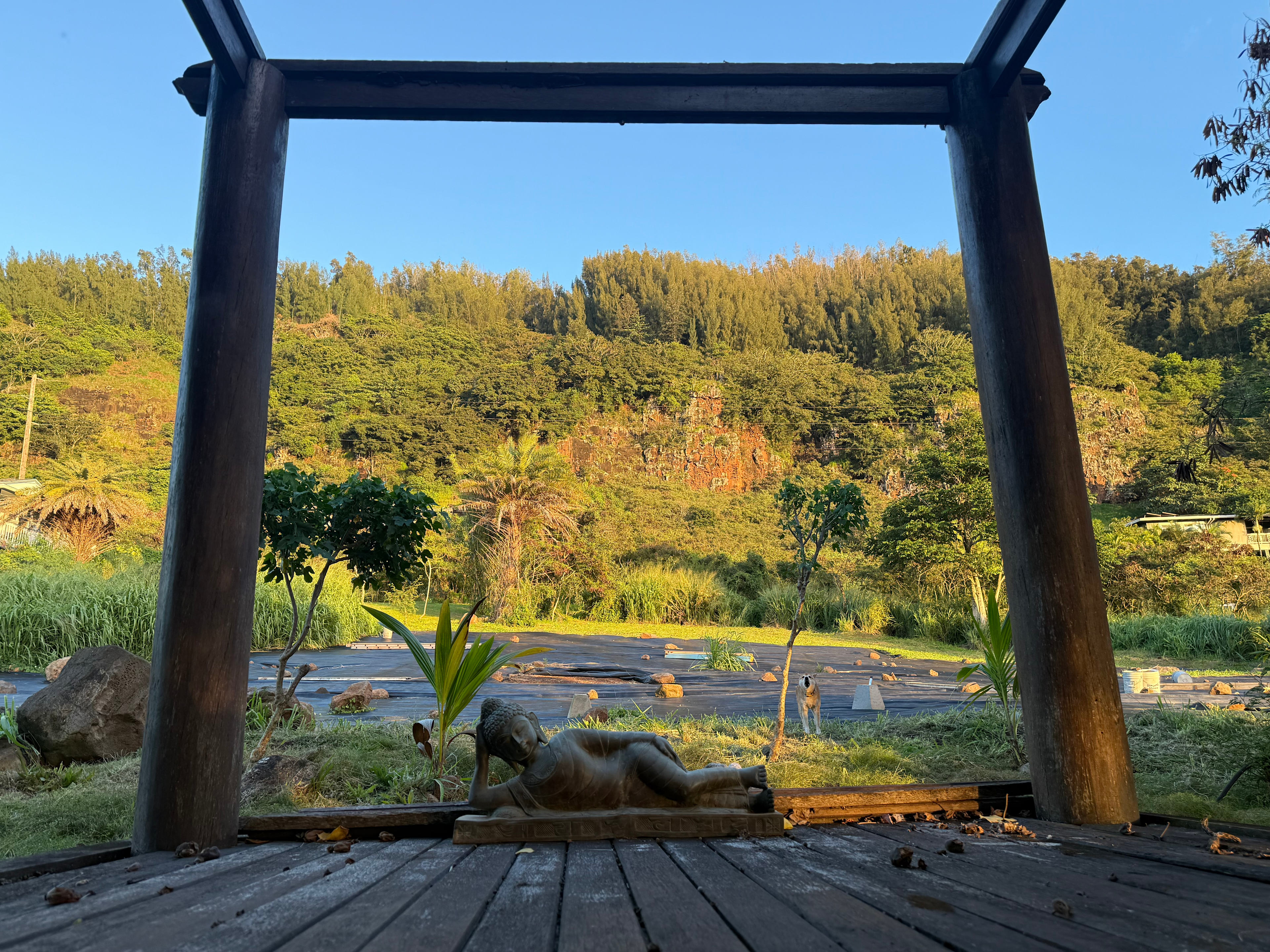 North Shore Surf Shack