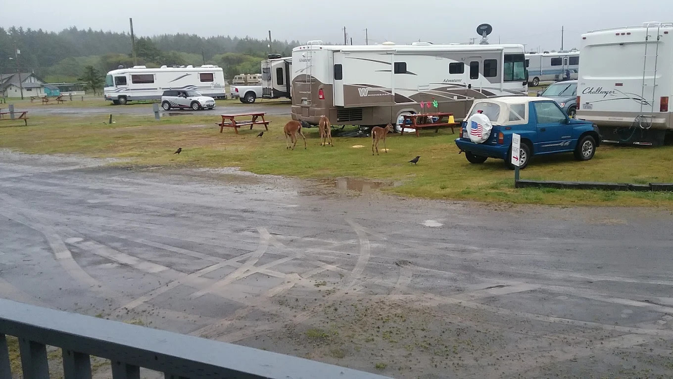 Copalis Beach RV Resort