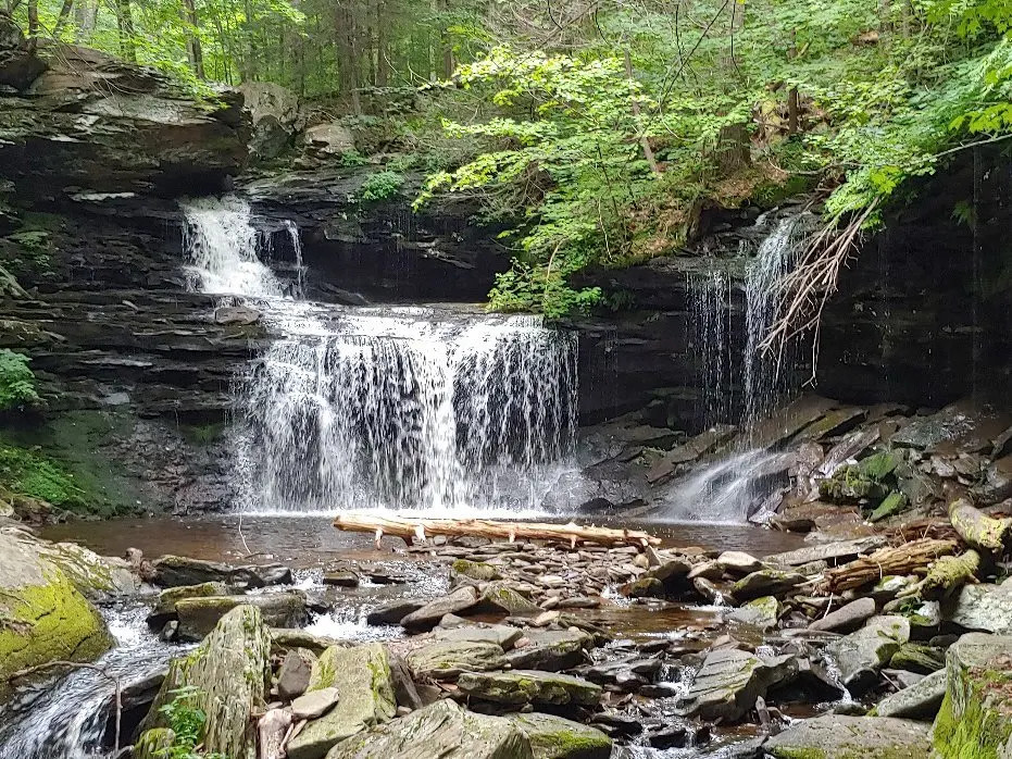 Council Cup Campground