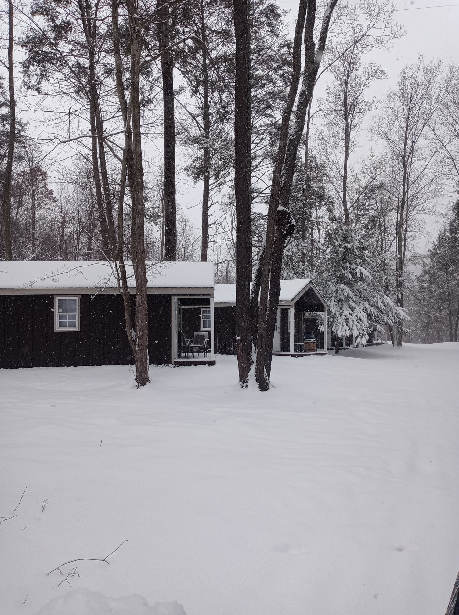 Council Cup Campground