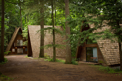 Cedar Springs camp