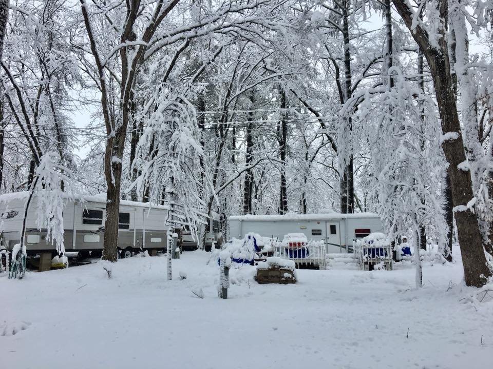 Country Shore Camping Area