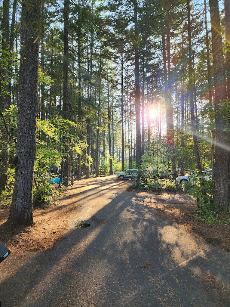 Swift Forest Camp Pacificorp