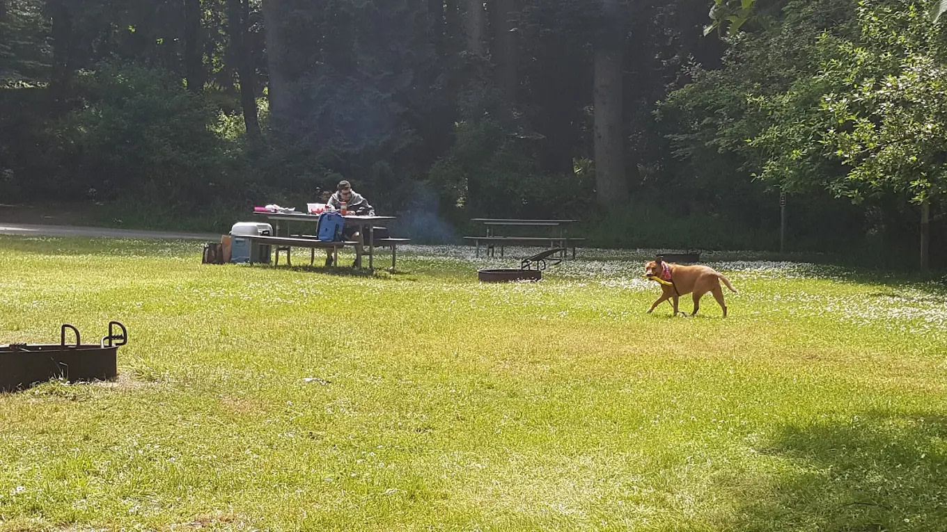 Salt Creek Recreation Area