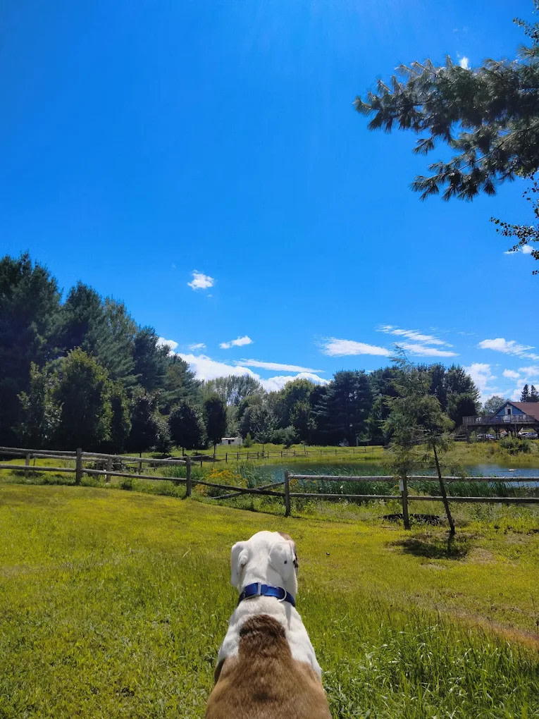 Bethel Outdoor Adventure & Campground