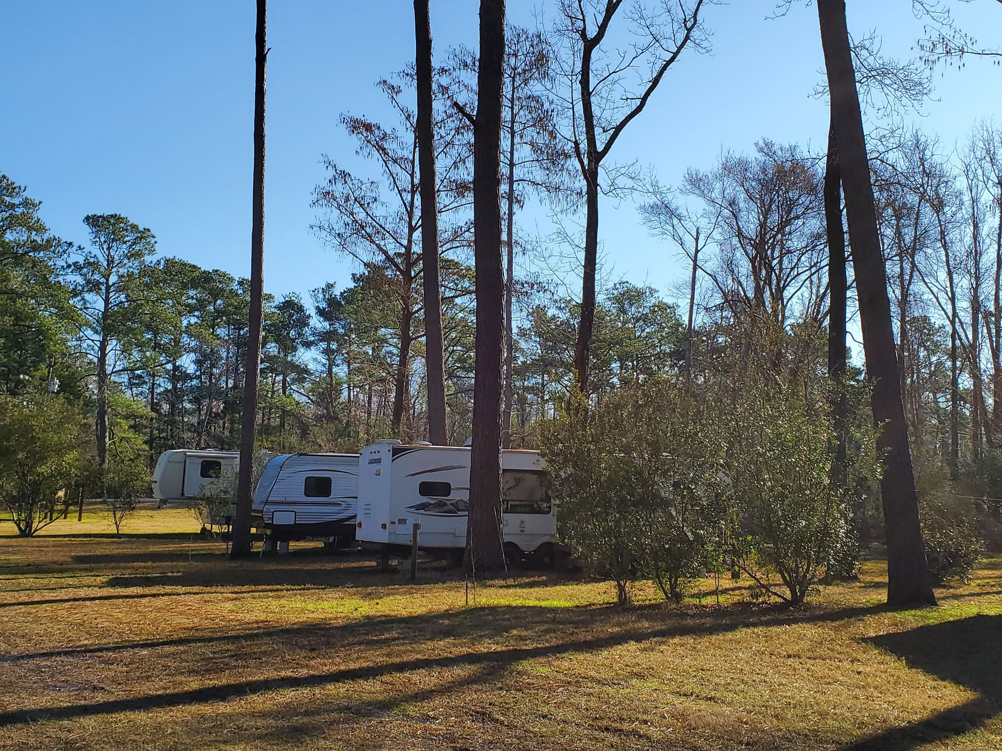 Carawan's Cabins And Campground