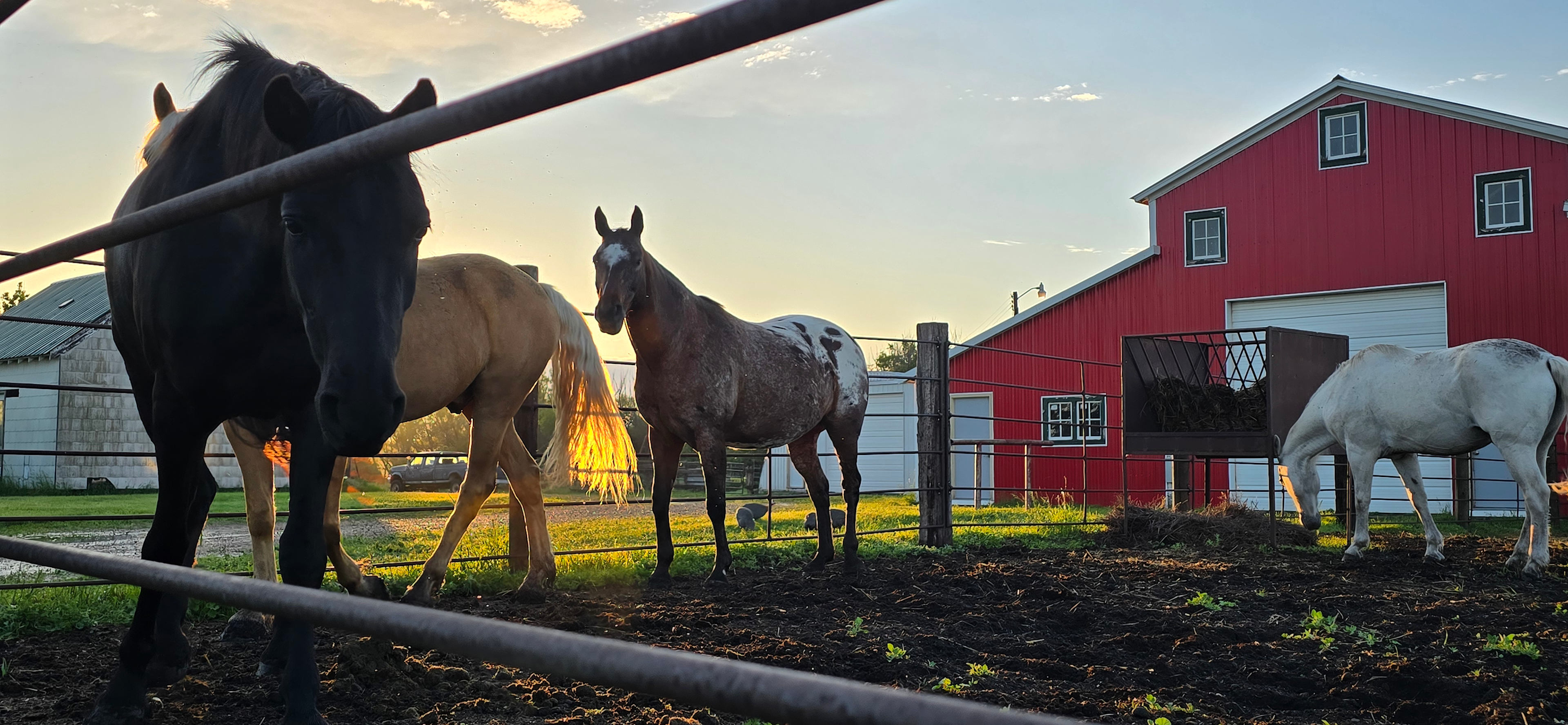 Lightning Arrow Ranch