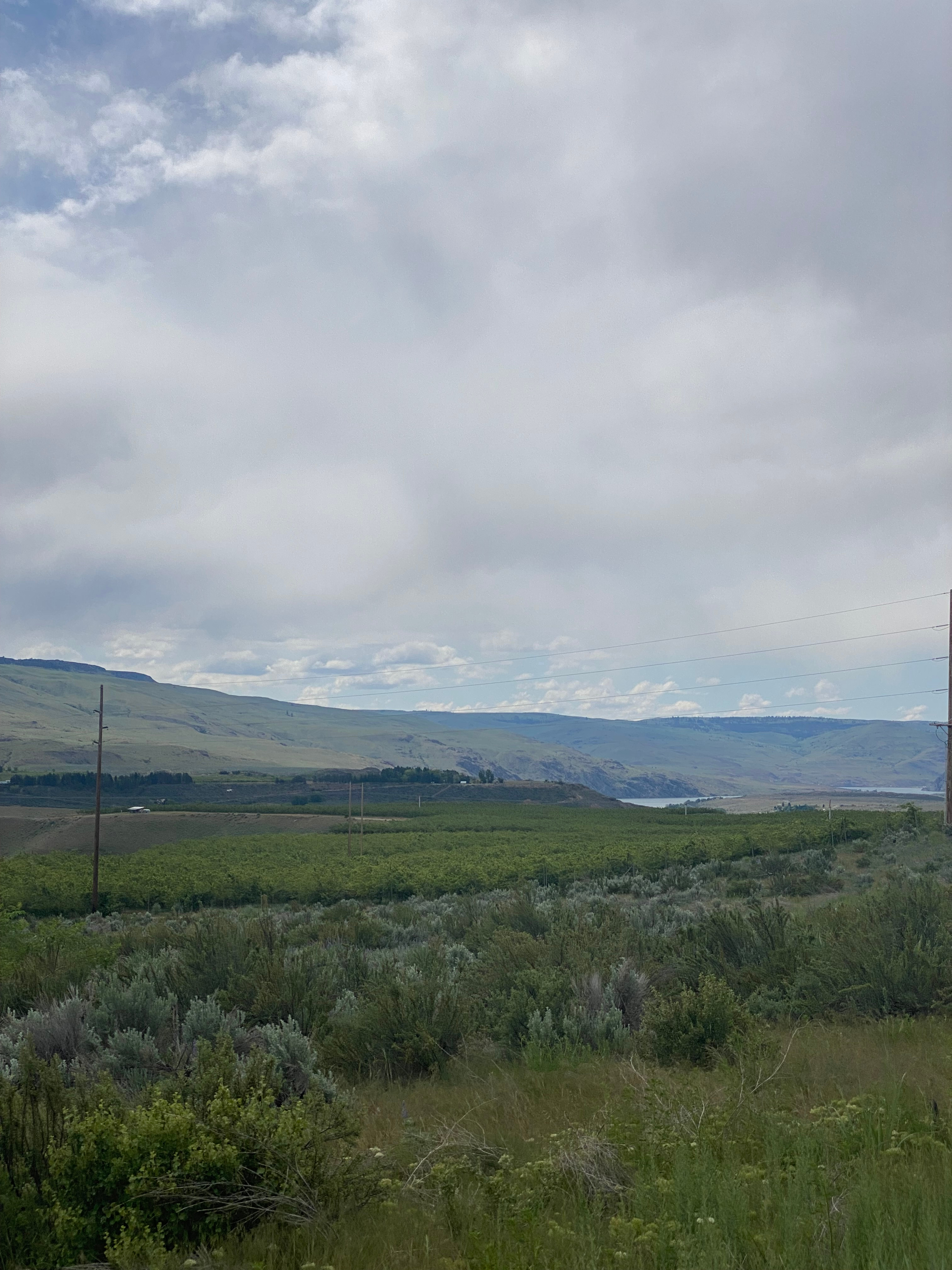View of the Columbia River and Apple orchards nearby.