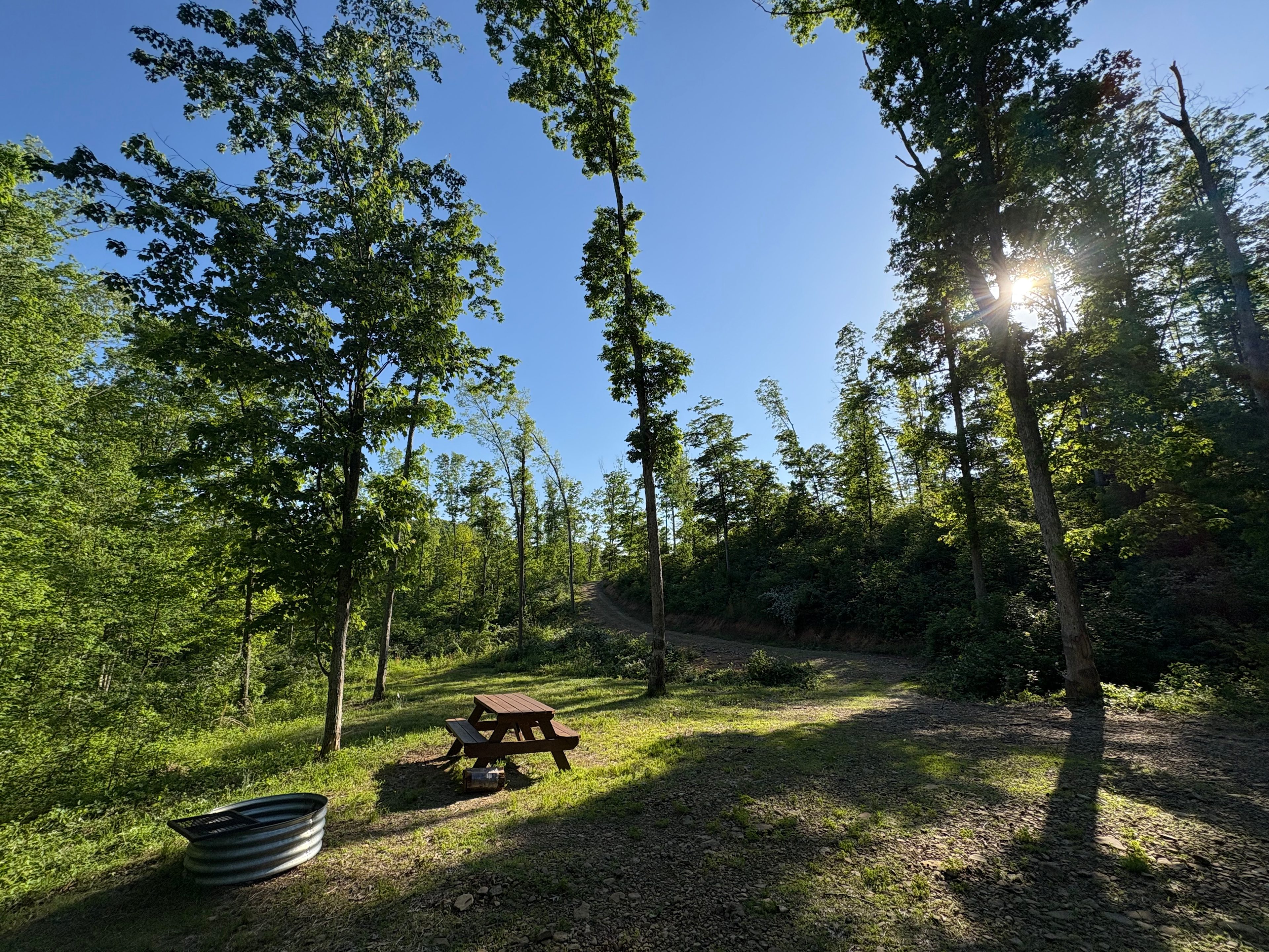 Still Grove