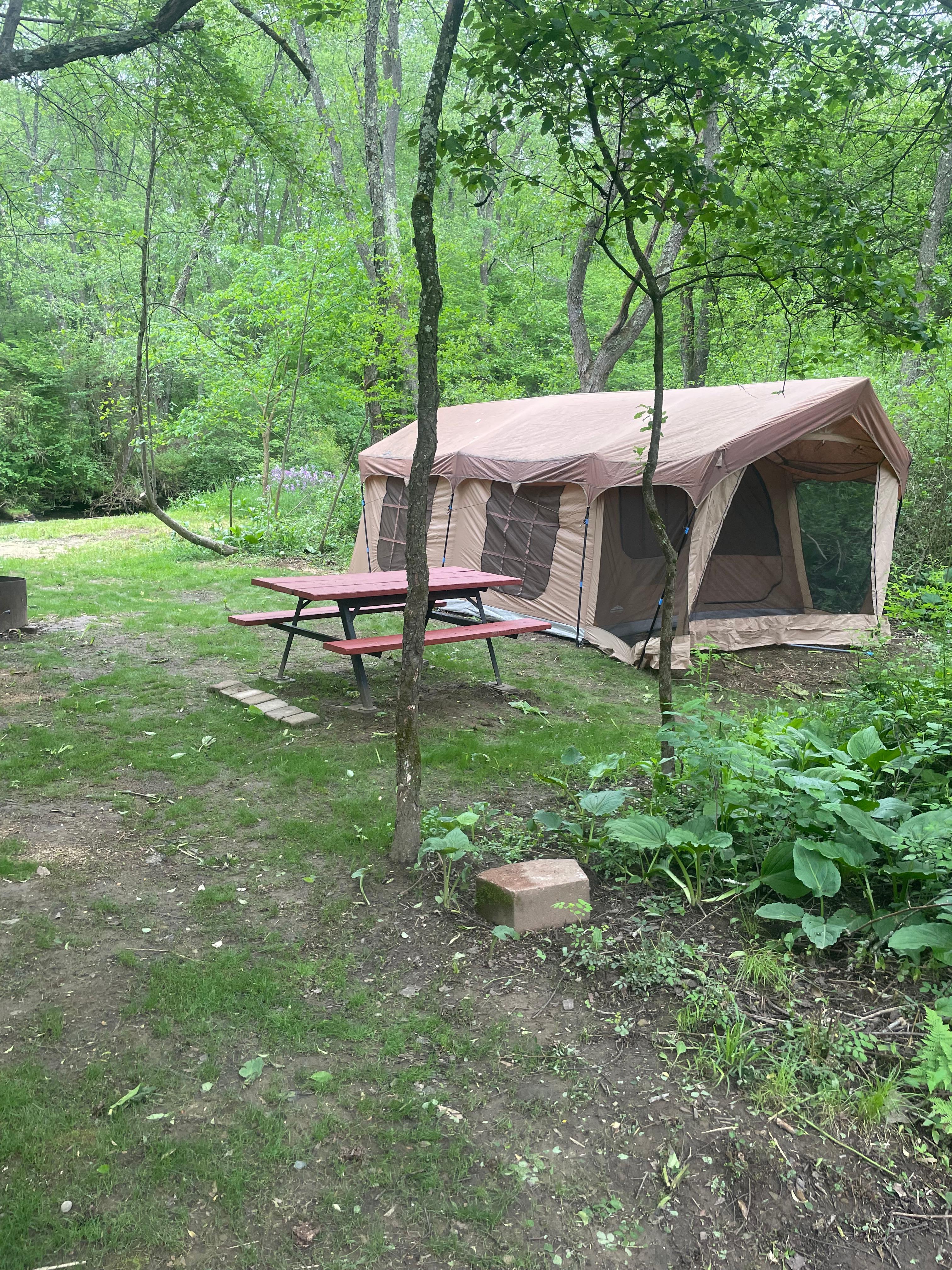 Stoney Run Primitive Tent Camping