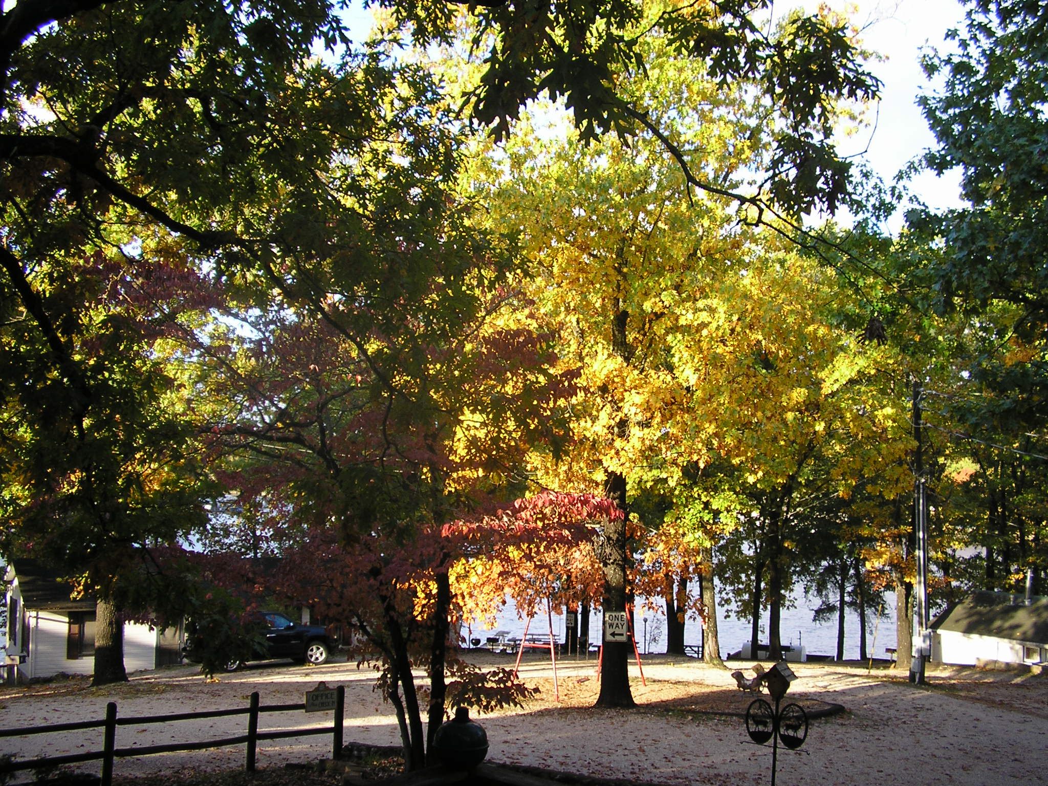 Dogwood Acres Resort