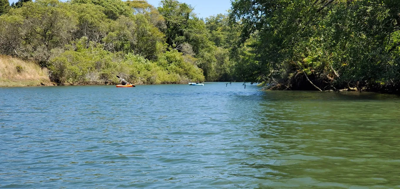 Dolphin Isle Marina and RV Park