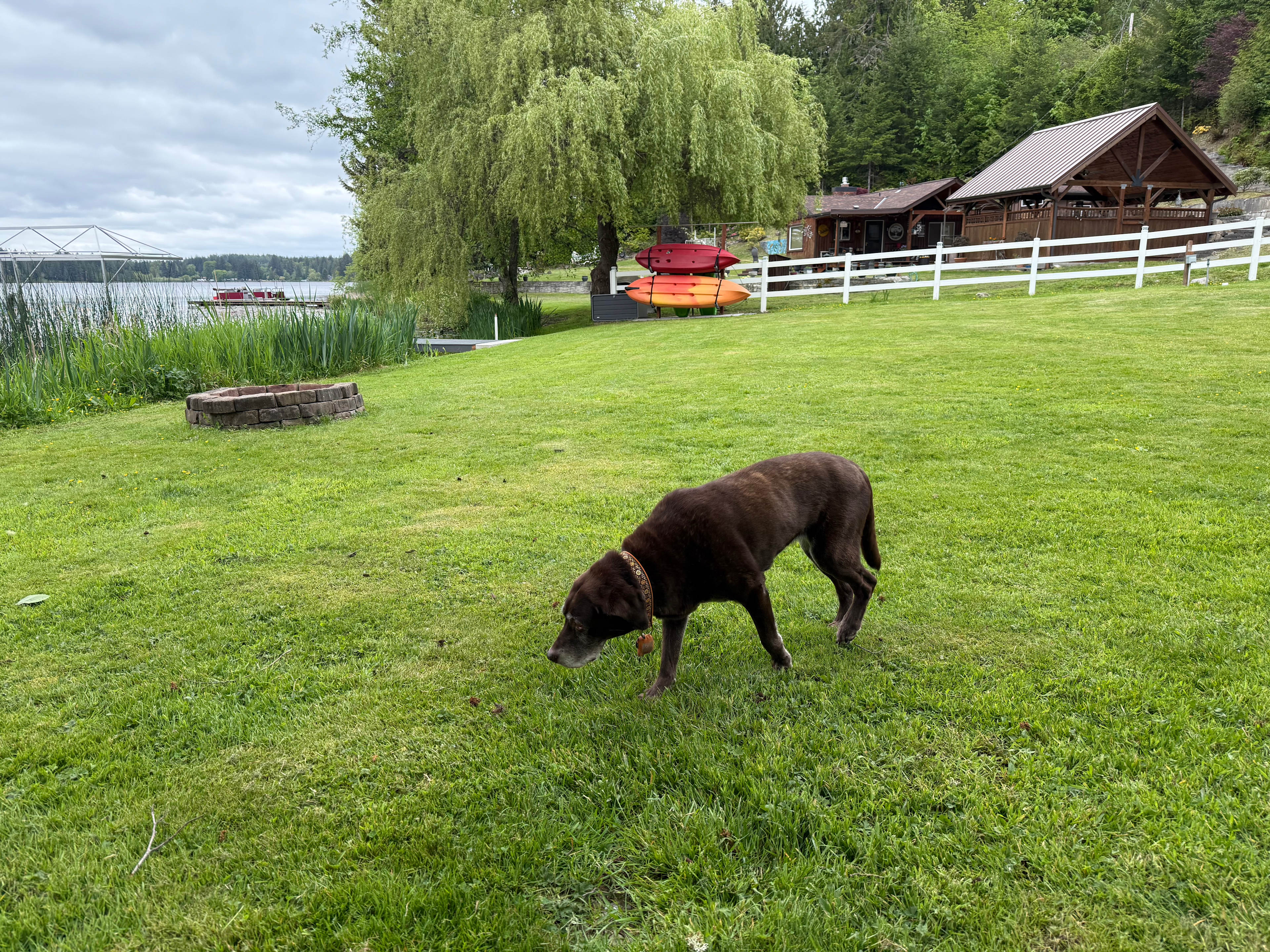 Better to Wake at the Lake