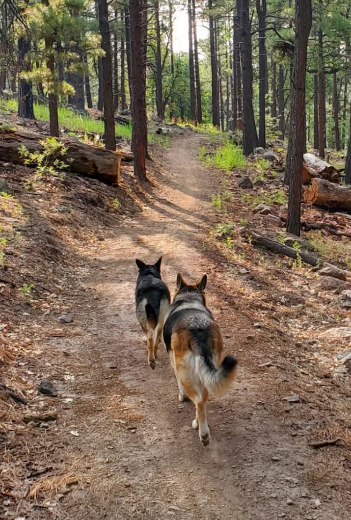 Fort Tuthill County Campground