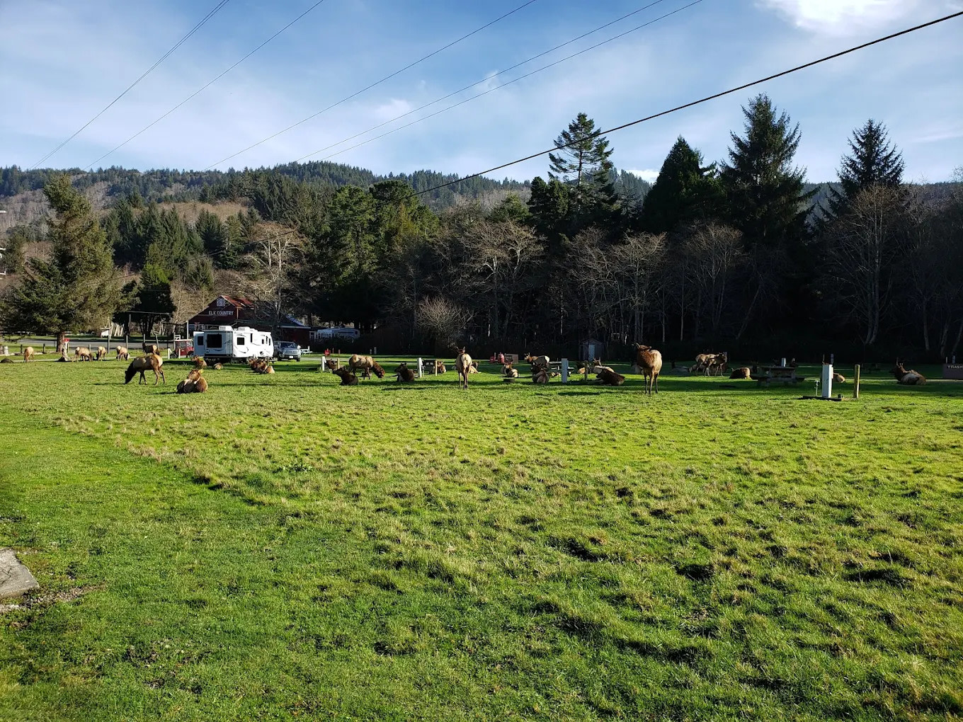 Elk Country RV Resort & Campground