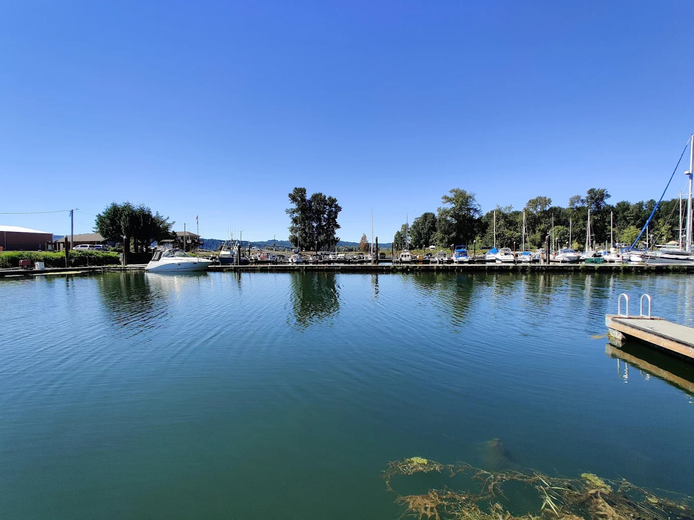 Elochoman Slough Marina