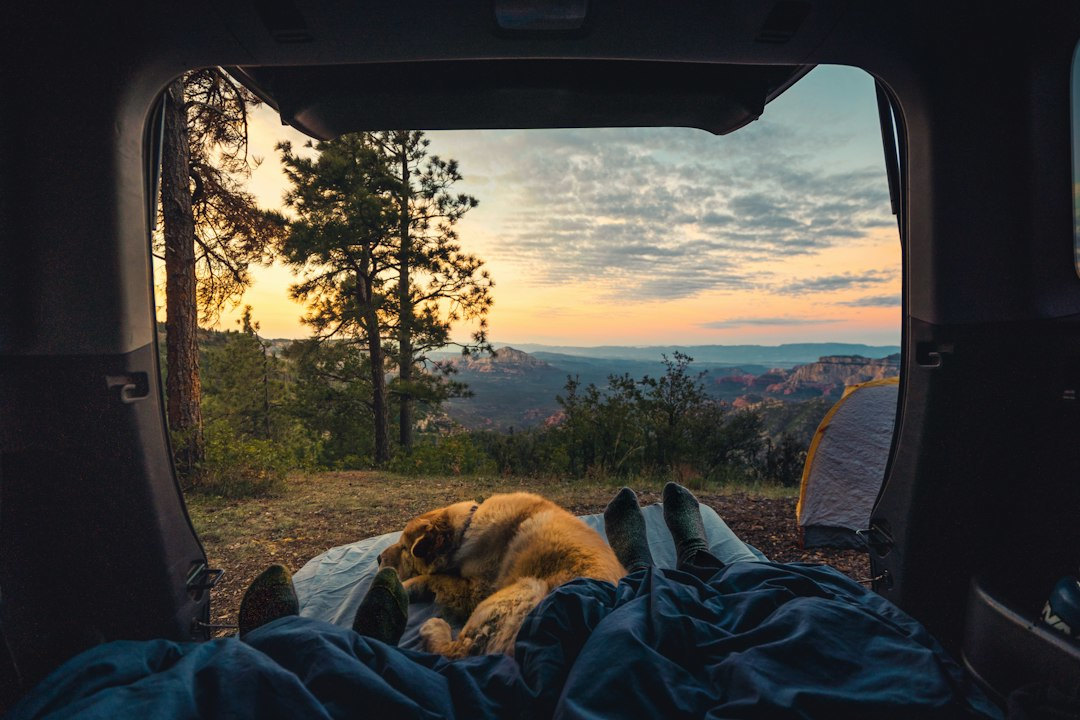 Hugo RV Park