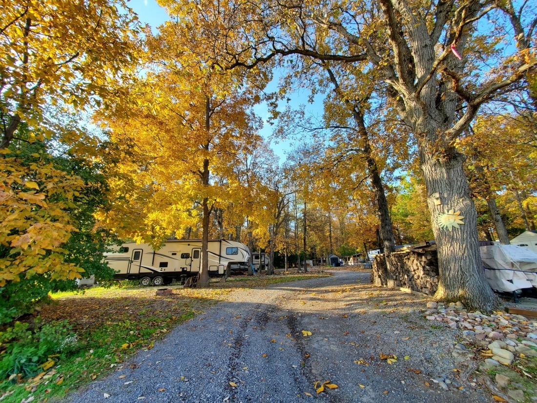 River Forest Park Campground