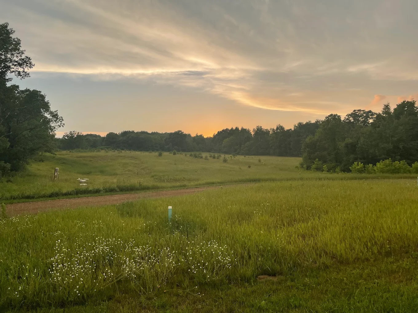 Dongola Campground