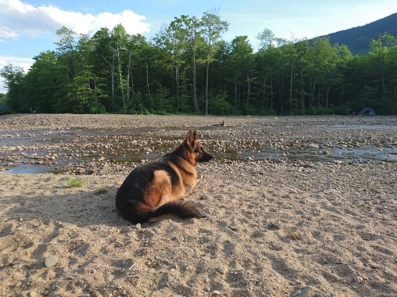 Crawford Notch Campground