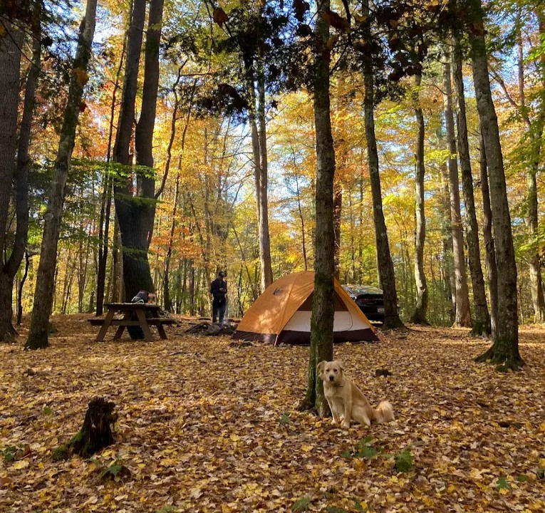 Happy Days Campground