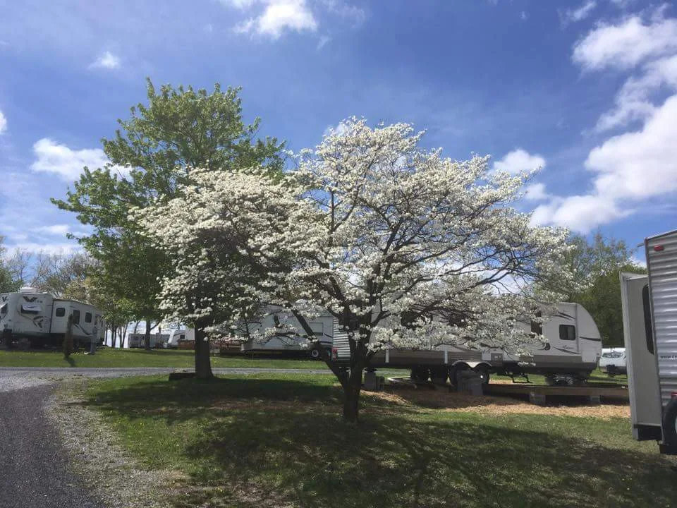 Lake Raystown Family Camping