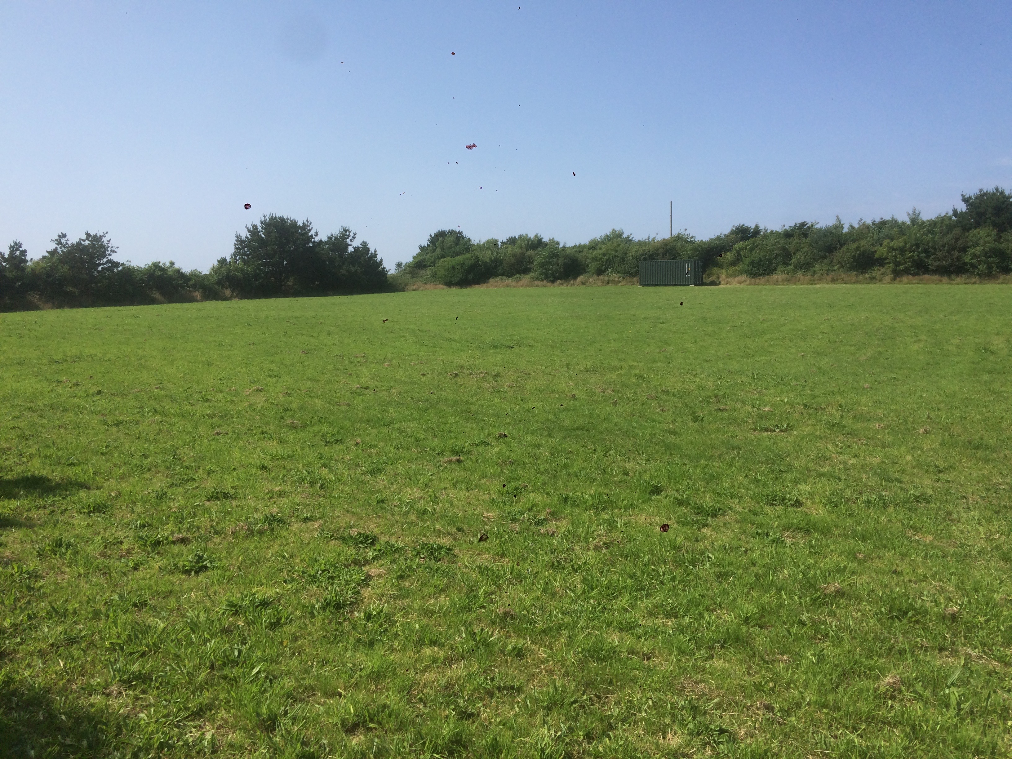 The Owl Box Eco Camp