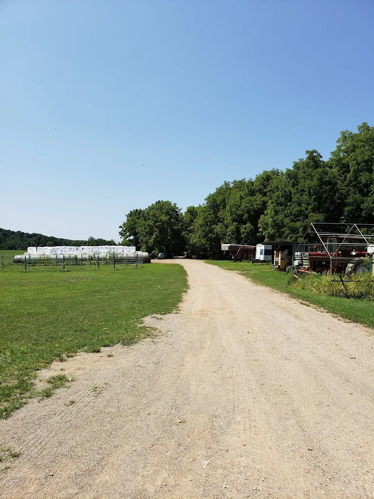 The Spotted Horse Ranch