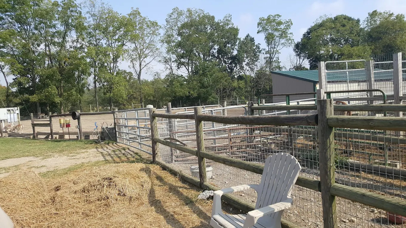 The Spotted Horse Ranch