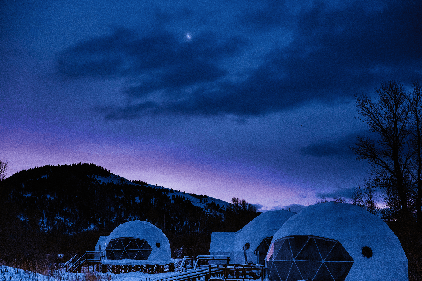 Tammah Jackson Hole