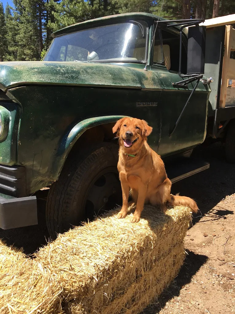 Dream Catcher Campground & Lodge