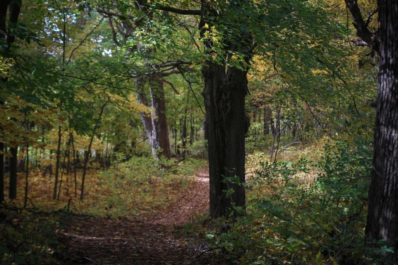 Freedom Valley Campground