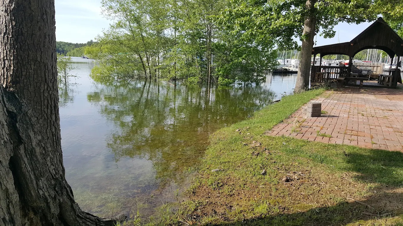 Steele Creek Marina & Campground