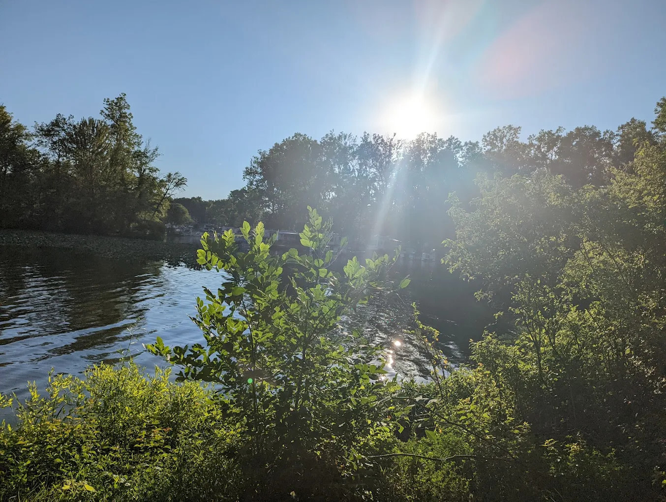 Lotus Cove Campground