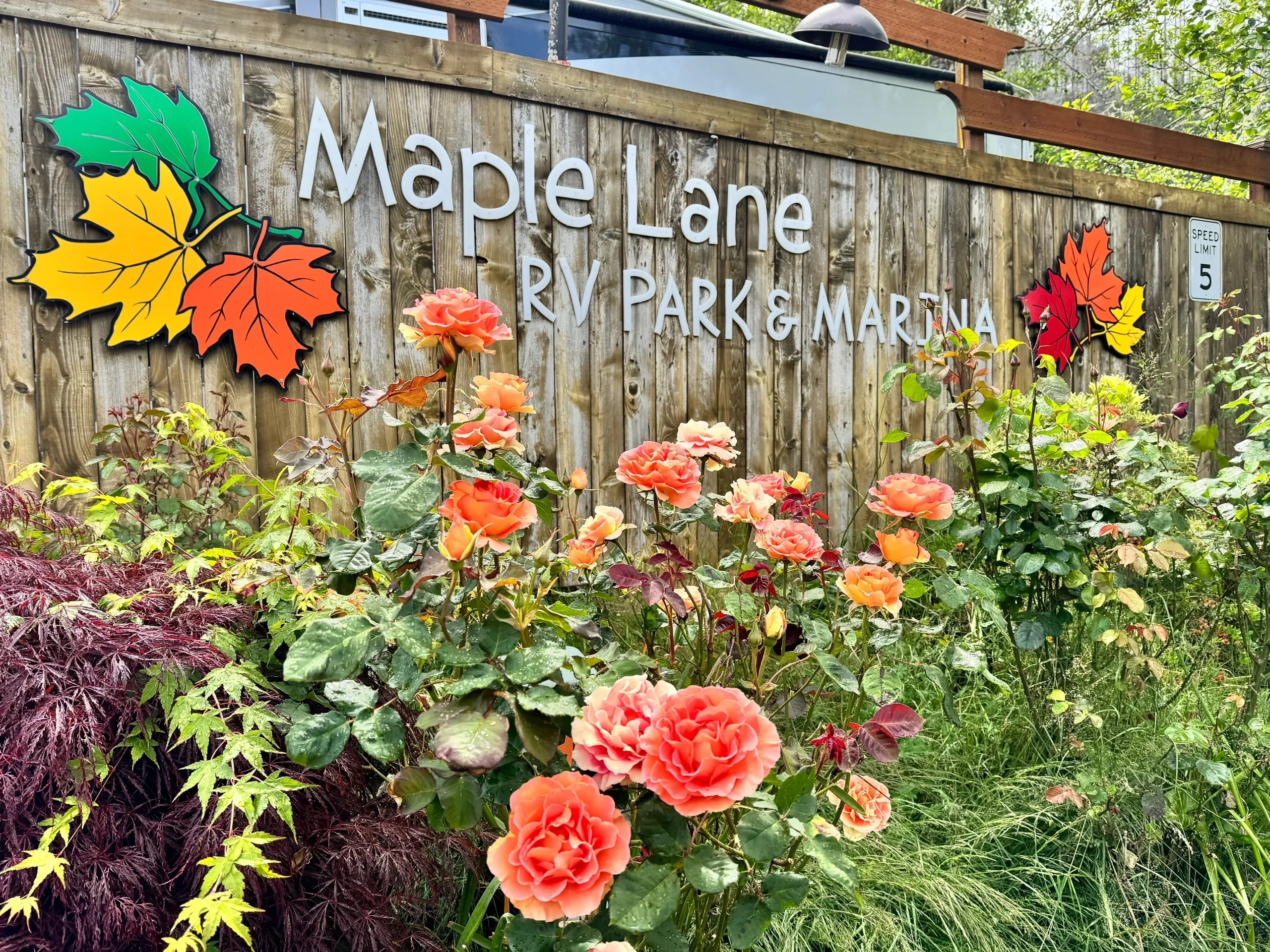 Maple Lane RV Park & Marina
