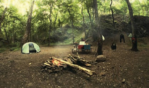 Cover photo for Green Ridge State Forest Campground