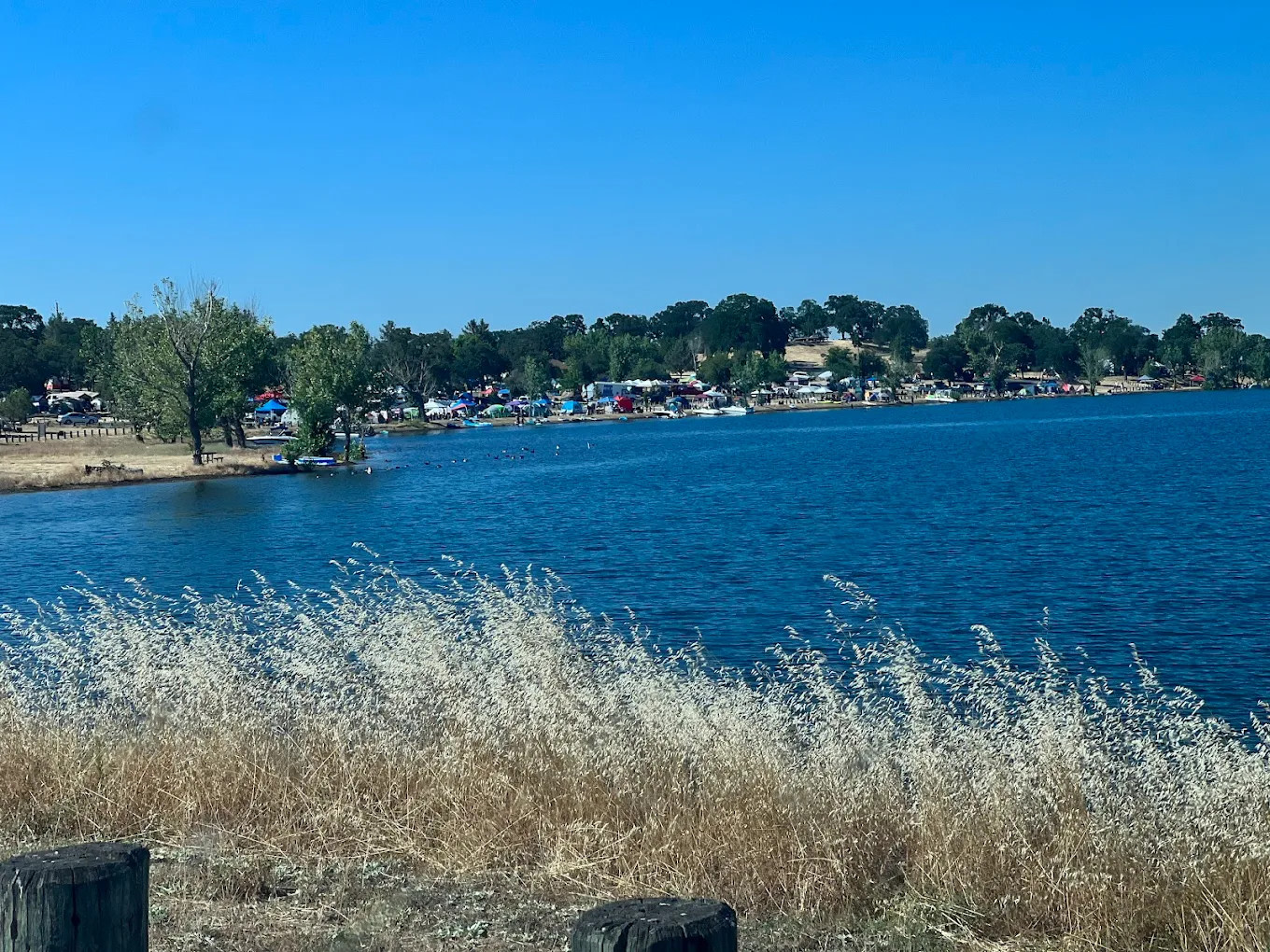 Camanche Lake Blue Oaks Campground North Shore