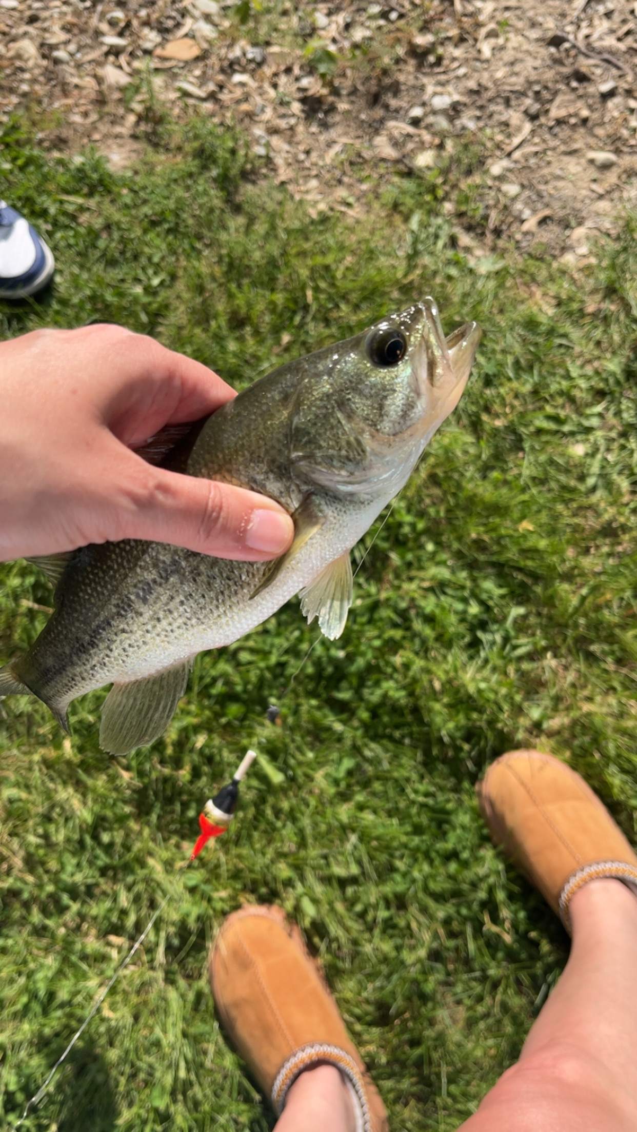 Fish love worms 😜