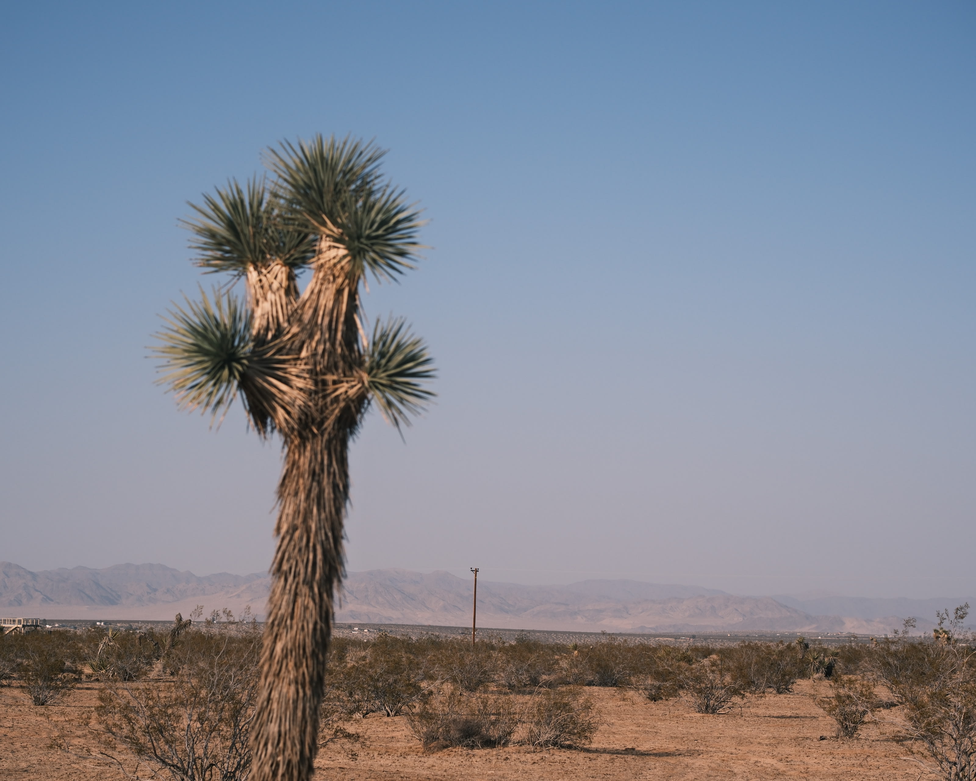 San Mateo Campground