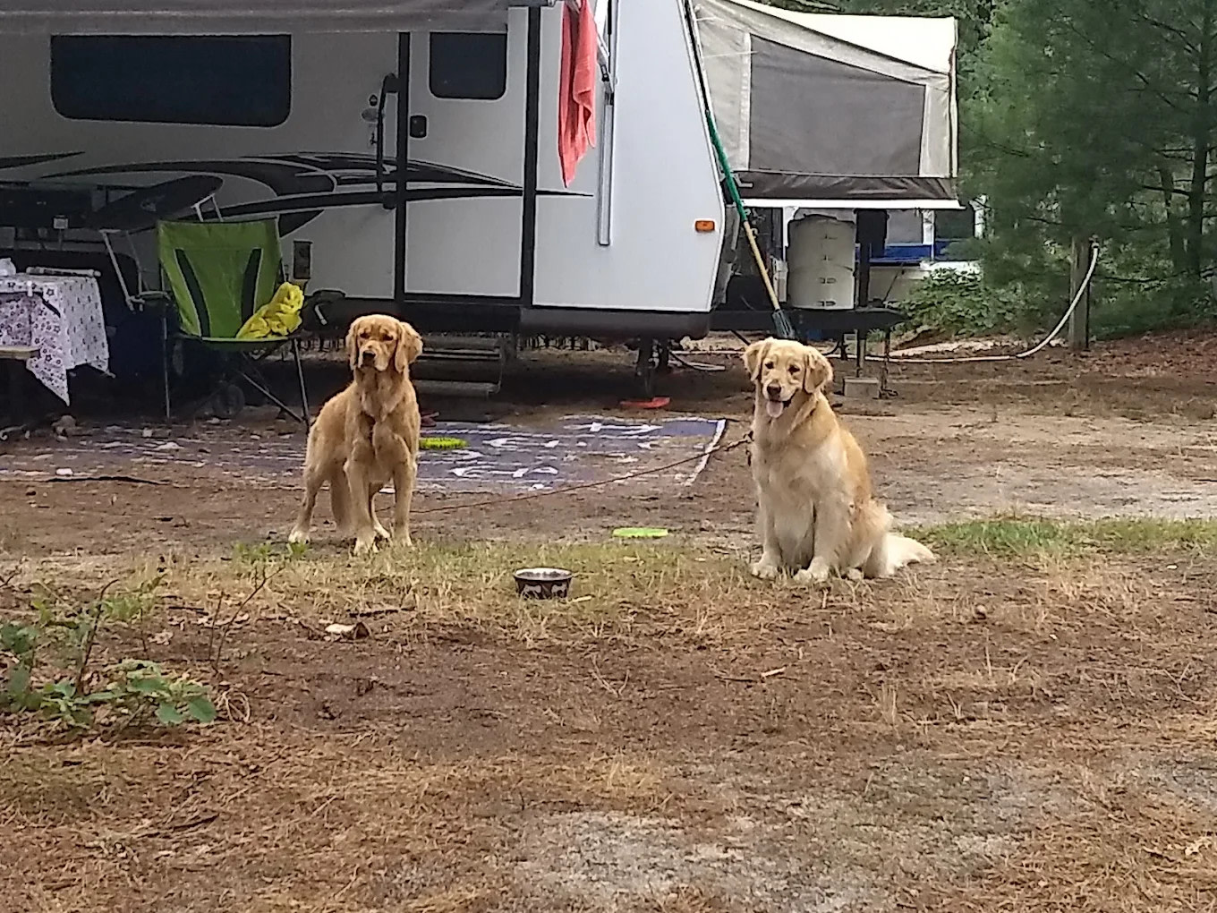 Cape Cod Maple Park Campground & RV Park