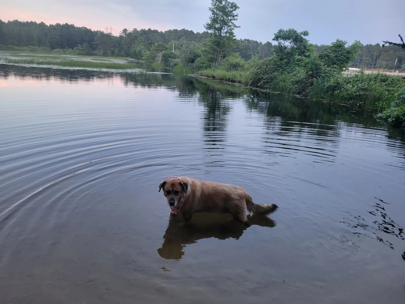 Cape Cod Maple Park Campground & RV Park