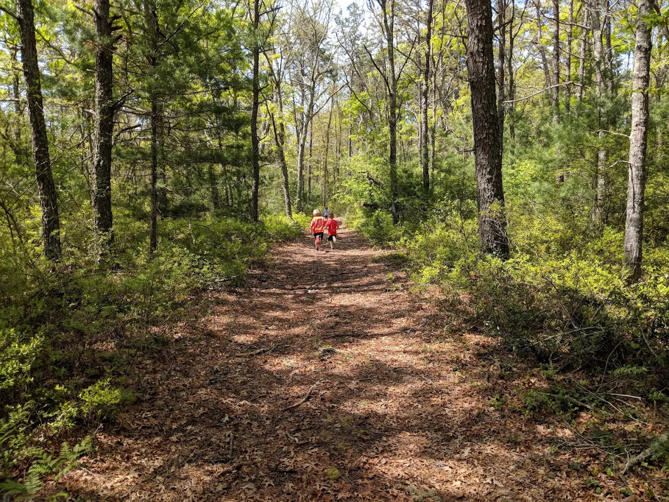 Cape Cod Maple Park Campground & RV Park
