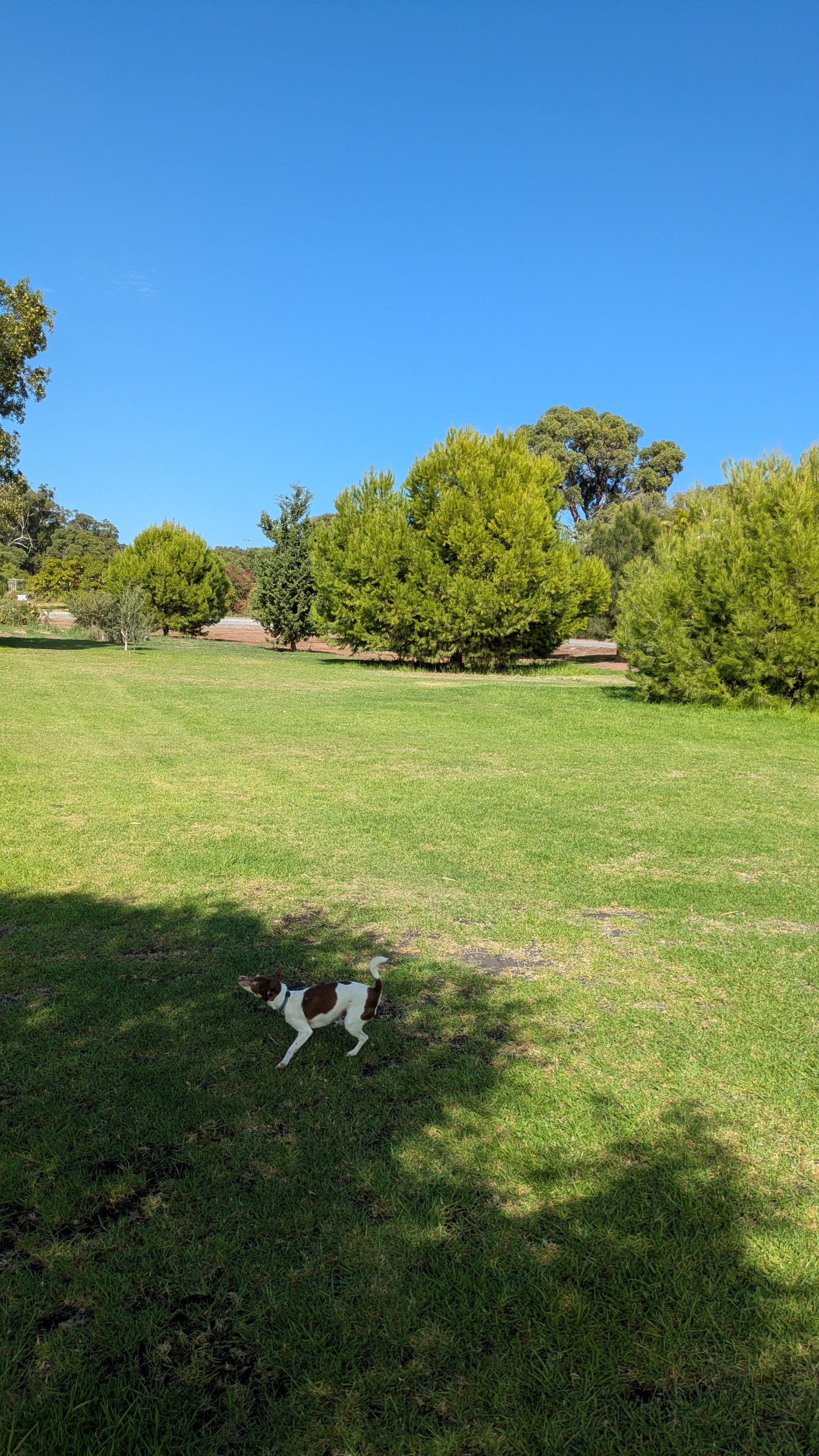 Lake Preston Lime Paddock