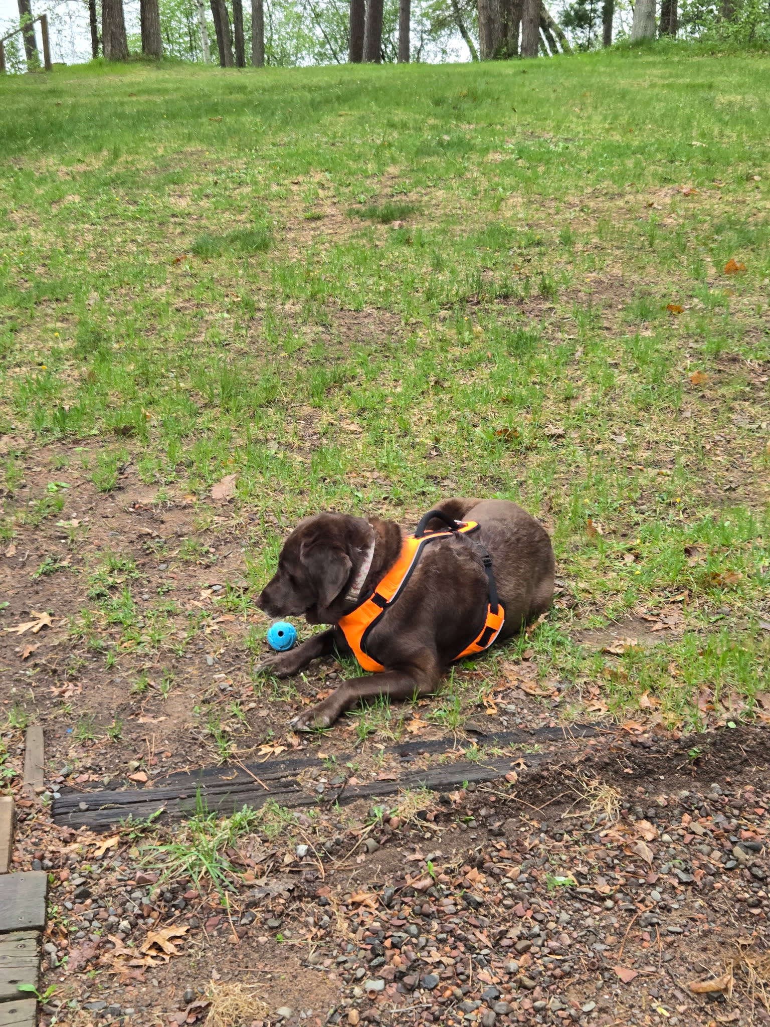 Trego Lake Lakefront Property