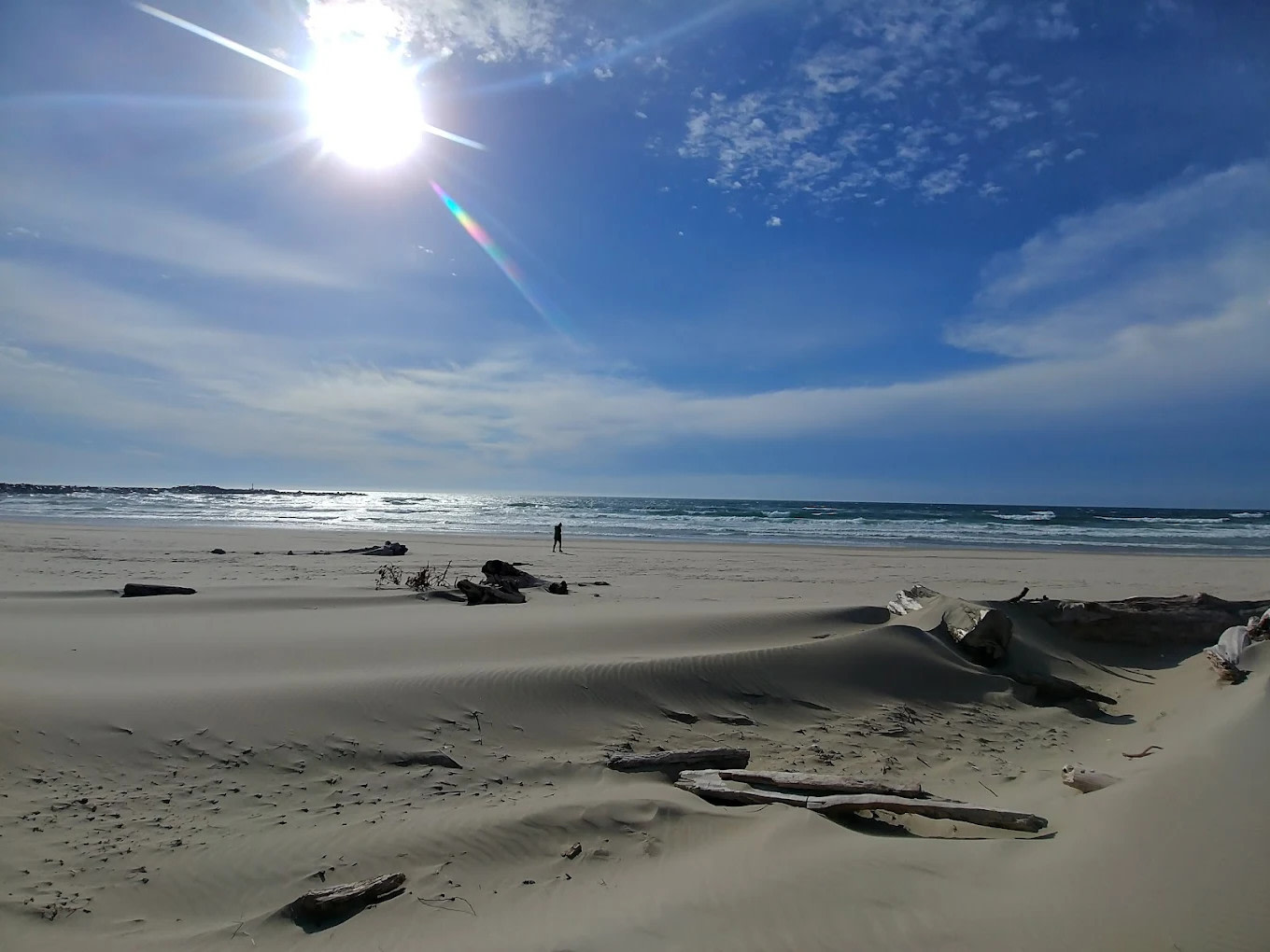 Harbor Vista County Campground & Park
